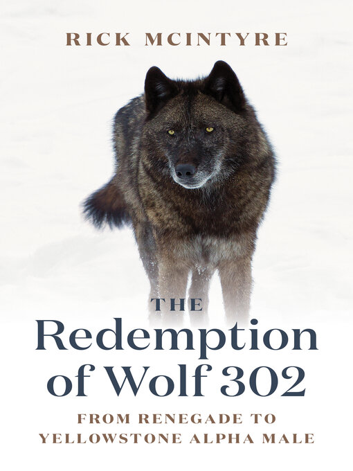 Title details for The Redemption of Wolf 302 by Rick McIntyre - Available